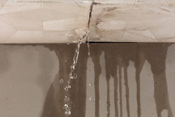 Professional Structural Drying technician working in Yorktown, IN